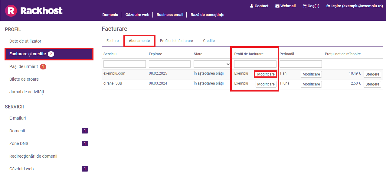 După submeniul "Facturi", veți găsi submeniul "Abonamente", unde puteți vizualiza denumirile serviciilor, datele de expirare, starea serviciilor, profilurile de facturare și modificările acestora, perioadele și prețurile nete de reînnoire.