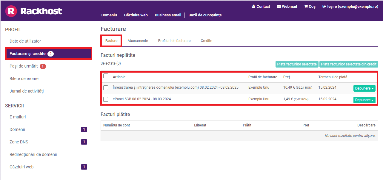 După ce vă autentificați în contul dvs., veți vedea în partea stângă meniurile. Al doilea element de meniu este ""Facturare și credite"", unde veți găsi toate informațiile legate de facturare și credite.